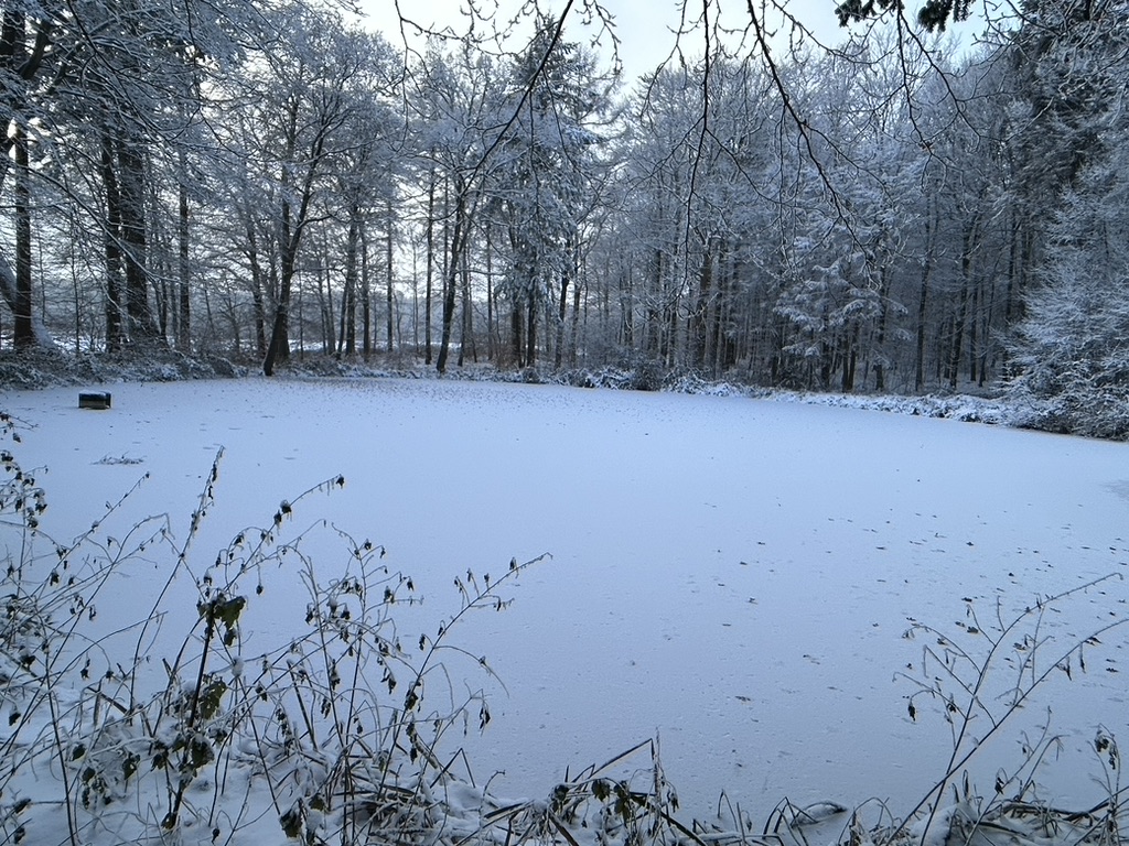 „Schnee und Eis“ Januar